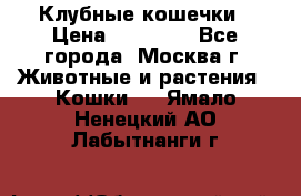 Клубные кошечки › Цена ­ 10 000 - Все города, Москва г. Животные и растения » Кошки   . Ямало-Ненецкий АО,Лабытнанги г.